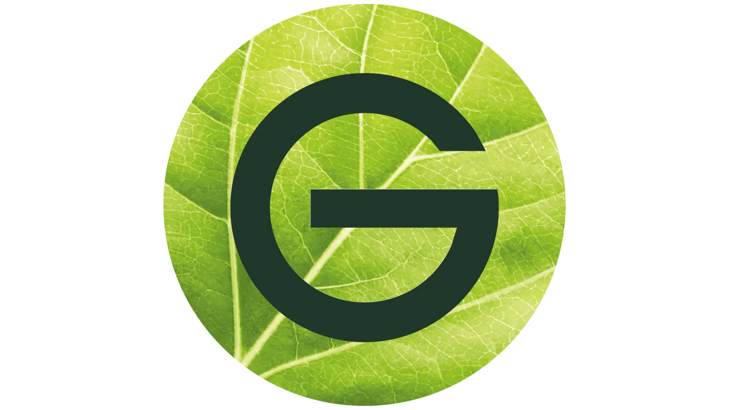گارنیر (Garnier)